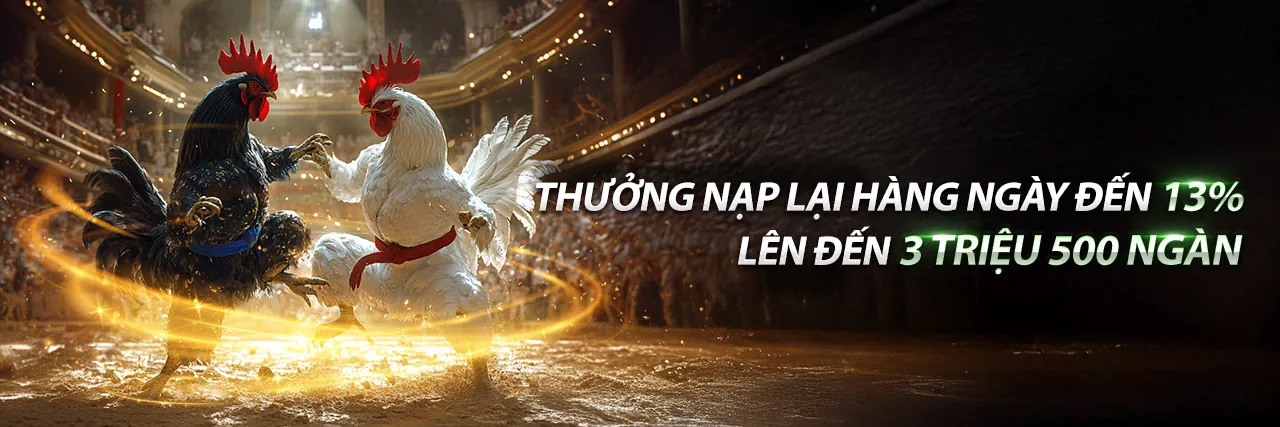 B66 đá gà trực tuyến hấp dẫn